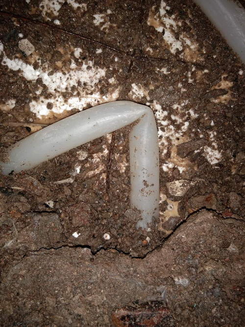 嵊州堵点精准查找